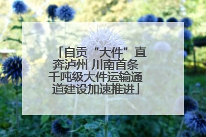 自贡“大件”直奔泸州 川南首条千吨级大件运输通道建设加速推进