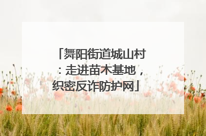 舞阳街道城山村：走进苗木基地，织密反诈防护网