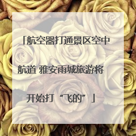 航空器打通景区空中航道 雅安雨城旅游将开始打“飞的”
