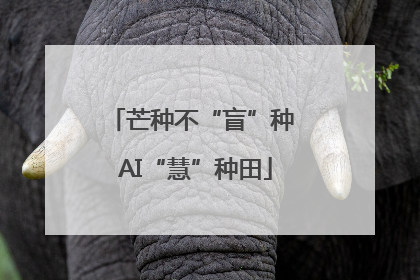 芒种不“盲”种 AI“慧”种田