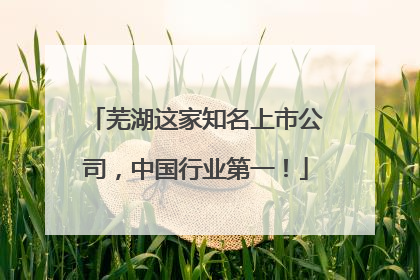 芜湖这家知名上市公司，中国行业第一！