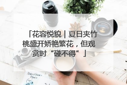 花容悦貌｜夏日夹竹桃盛开娇艳繁花，但观赏时“碰不得”