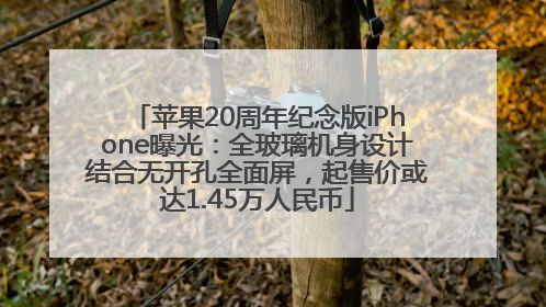 苹果20周年纪念版iPhone曝光：全玻璃机身设计结合无开孔全面屏，起售价或达1.45万人民币