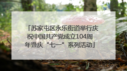 苏家屯区永乐街道举行庆祝中国共产党成立104周年暨庆“七一”系列活动