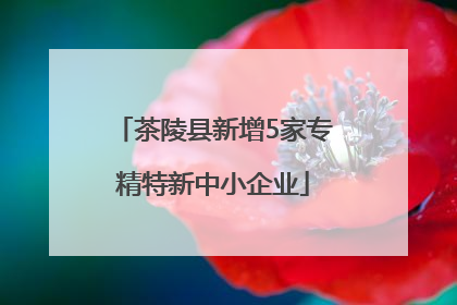 茶陵县新增5家专精特新中小企业