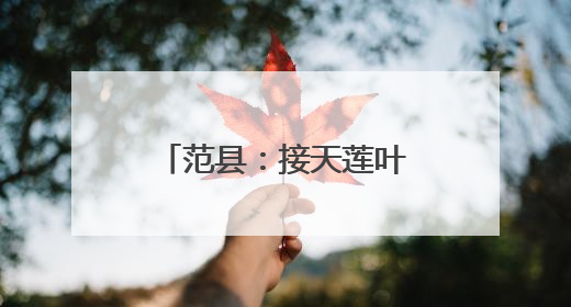 范县：接天莲叶无穷碧 “民主之花”别样红