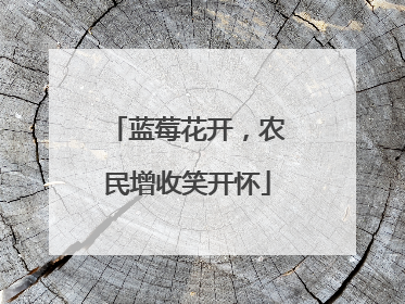 蓝莓花开，农民增收笑开怀