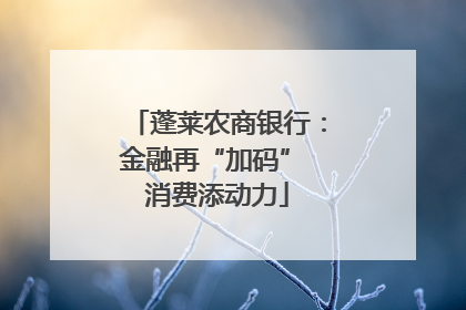 蓬莱农商银行：金融再“加码” 消费添动力