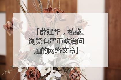 薛建华，私藏、浏览有严重政治问题的网络文章