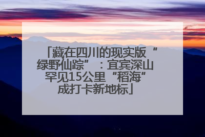 藏在四川的现实版“绿野仙踪”：宜宾深山罕见15公里“稻海”成打卡新地标