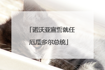 诺沃亚宣誓就任厄瓜多尔总统