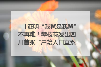 证明“我爸是我爸”不再难！攀枝花发出四川首张“户籍人口直系亲属关系谱”