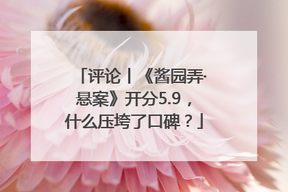 评论丨《酱园弄·悬案》开分5.9，什么压垮了口碑？