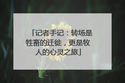 记者手记：转场是牲畜的迁徙，更是牧人的心灵之旅