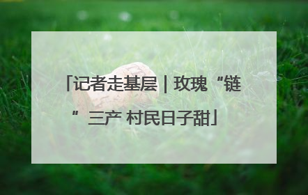 记者走基层｜玫瑰“链”三产 村民日子甜