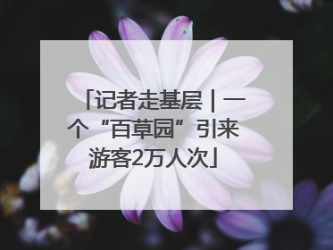 记者走基层｜一个“百草园”引来游客2万人次
