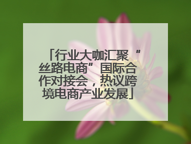 行业大咖汇聚“丝路电商”国际合作对接会，热议跨境电商产业发展