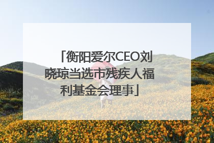 衡阳爱尔CEO刘晓琼当选市残疾人福利基金会理事