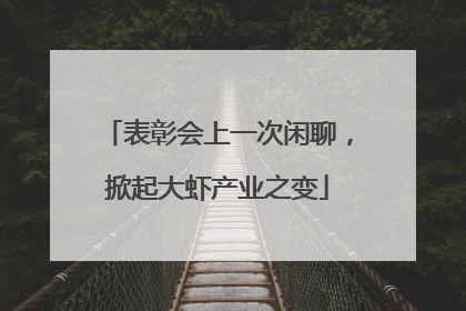 表彰会上一次闲聊，掀起大虾产业之变