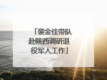 裴金佳带队赴陕西调研退役军人工作