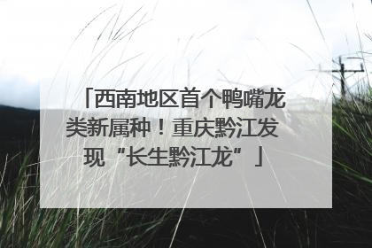 西南地区首个鸭嘴龙类新属种！重庆黔江发现“长生黔江龙”