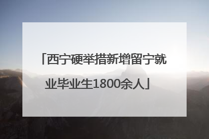 西宁硬举措新增留宁就业毕业生1800余人