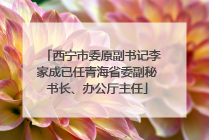 西宁市委原副书记李家成已任青海省委副秘书长、办公厅主任