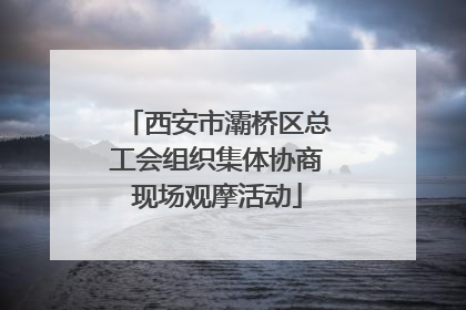 西安市灞桥区总工会组织集体协商现场观摩活动