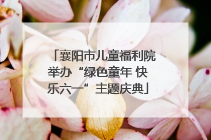 襄阳市儿童福利院举办“绿色童年 快乐六一”主题庆典