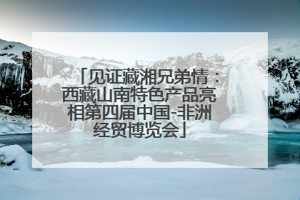见证藏湘兄弟情：西藏山南特色产品亮相第四届中国-非洲经贸博览会