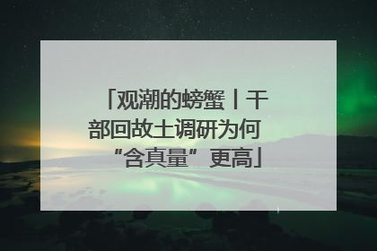观潮的螃蟹丨干部回故土调研为何“含真量”更高