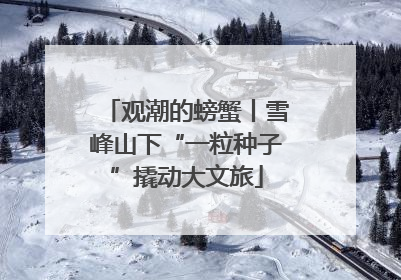 观潮的螃蟹丨雪峰山下“一粒种子”撬动大文旅