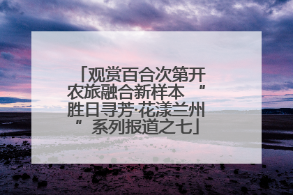 观赏百合次第开 农旅融合新样本 “胜日寻芳·花漾兰州”系列报道之七