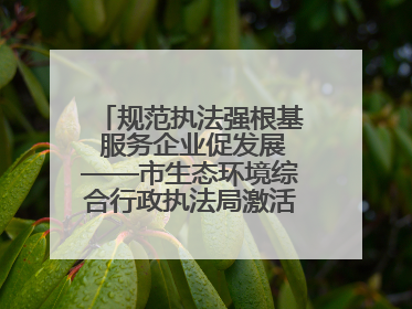 规范执法强根基 服务企业促发展——市生态环境综合行政执法局激活营商环境“绿色动能”