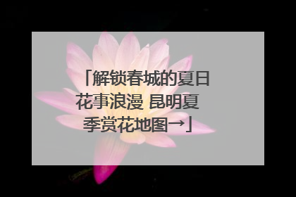 解锁春城的夏日花事浪漫 昆明夏季赏花地图→