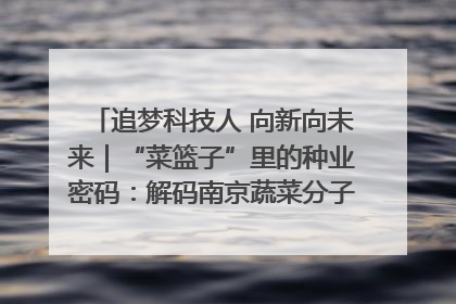 追梦科技人 向新向未来｜“菜篮子”里的种业密码：解码南京蔬菜分子育种的创新之路