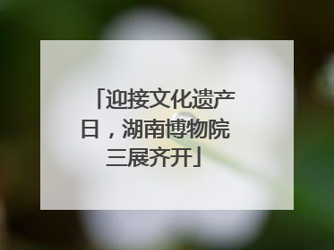 迎接文化遗产日，湖南博物院三展齐开