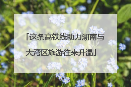 这条高铁线助力湖南与大湾区旅游往来升温