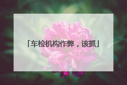 车检机构作弊，该抓