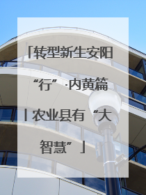 转型新生安阳“行”·内黄篇丨农业县有“大智慧”