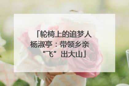 轮椅上的追梦人杨淑亭：带领乡亲“飞”出大山