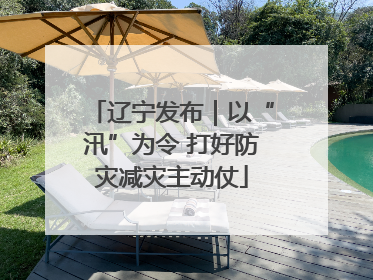 辽宁发布｜以“汛”为令 打好防灾减灾主动仗