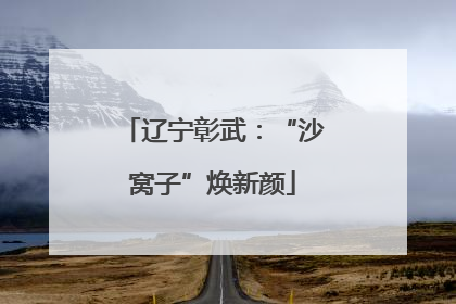 辽宁彰武：“沙窝子”焕新颜