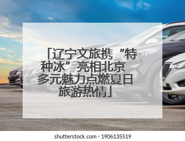 辽宁文旅携“特种冰”亮相北京 多元魅力点燃夏日旅游热情