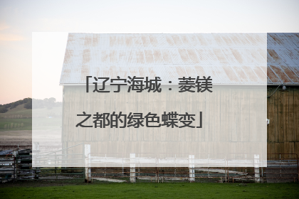 辽宁海城：菱镁之都的绿色蝶变