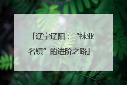 辽宁辽阳：“袜业名镇”的进阶之路