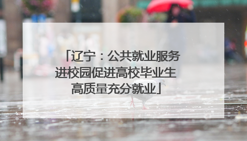 辽宁：公共就业服务进校园促进高校毕业生高质量充分就业
