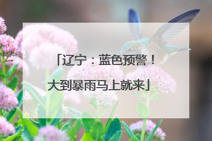 辽宁：蓝色预警！大到暴雨马上就来