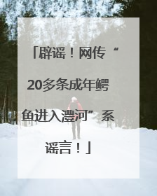 辟谣！网传“20多条成年鳄鱼进入澧河”系谣言！