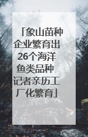 象山苗种企业繁育出26个海洋鱼类品种 记者亲历工厂化繁育